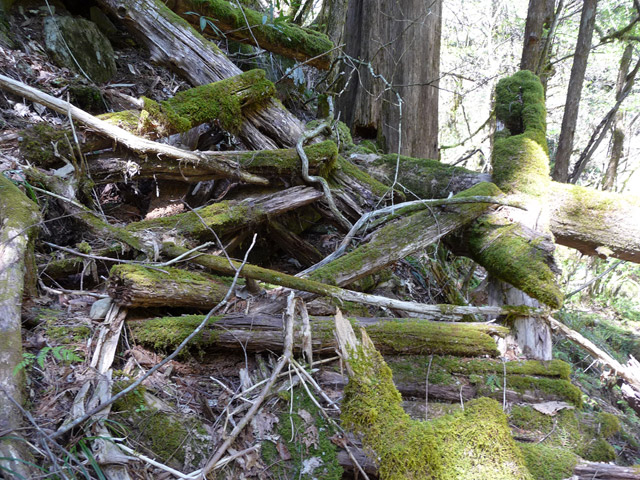 �ؑ]�X�ѓS��,�ѓS,�p����,���ґ��Ɛ�,����,���P�h�u��,�ؑ���