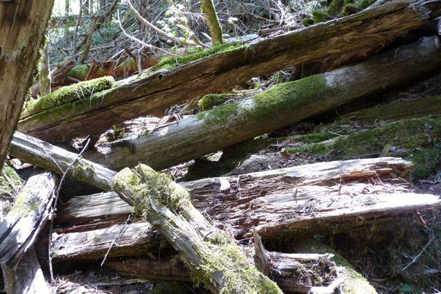 �ؑ]�X�ѓS��,�ѓS,�p����,���ґ��Ɛ�,����,���P�h�u��,�ؑ���