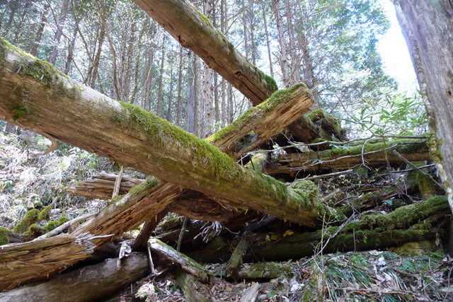 �ؑ]�X�ѓS��,�ѓS,�p����,���ґ��Ɛ�,����,���P�h�u��,�ؑ���