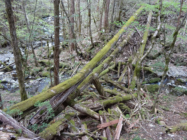 �ؑ]�X�ѓS��,�ѓS,�p����,���ґ��ƋO��,�S�̑�,���P�h�u��,�ؑ���