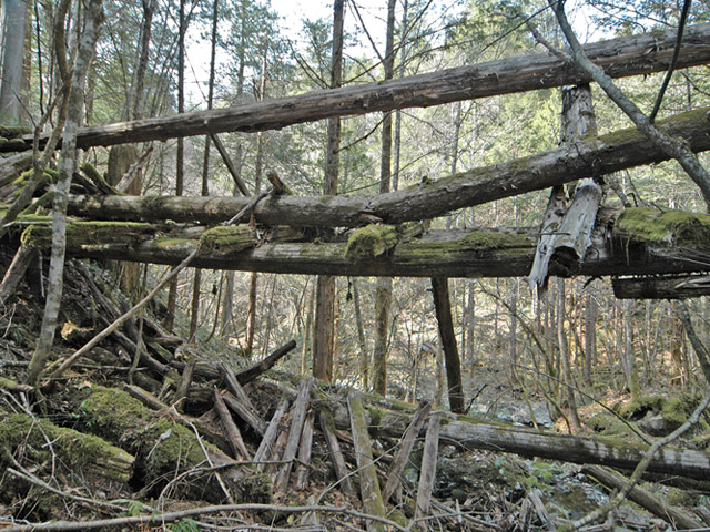 �ؑ]�X�ѓS��,�ѓS,�p����,���ґ��ƋO��,�包,���P�h�u��,�؋�