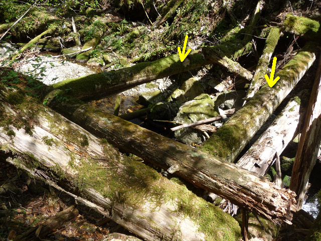 �ؑ]�X�ѓS��,�ѓS,�p����,���ґ��ƋO��,����c�я�,���P�h�u��,�O�i�؋�