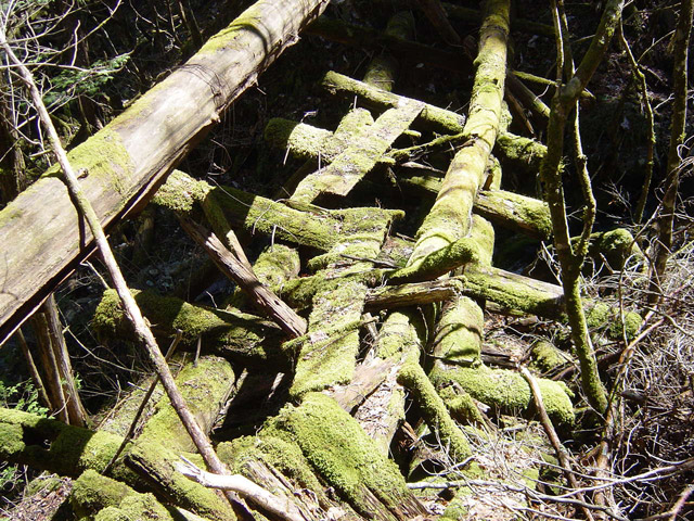 �ؑ]�X�ѓS��,�ѓS,�p����,���ґ��ƋO��,���ݔ�,���P�h�u��,�O�i�؋�