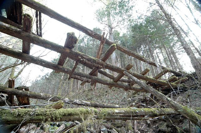 �ؑ]�X�ѓS��,�ѓS,�p����,���ґ��ƋO��,�c�[,���P�h�u��,3�i�؋�