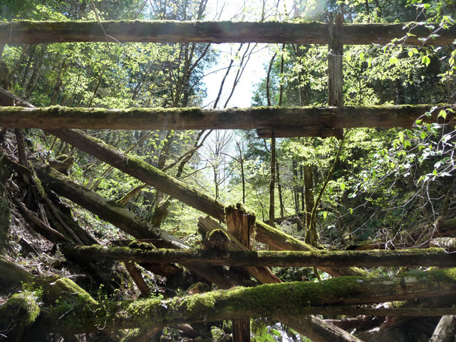 �ؑ]�X�ѓS��,�ѓS,�p����,���ґ��ƋO��,�c�[,���P�h�u��,3�i�؋�