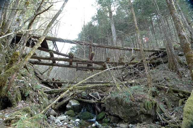 �ؑ]�X�ѓS��,�ѓS,�p����,���ґ��ƋO��,�g���C���C�g�]�`��,���P�h�u��,�O�i�؋�