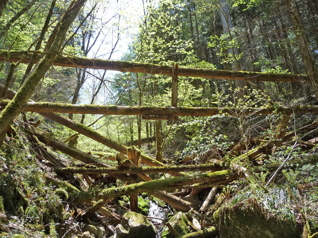 �ؑ]�X�ѓS��,�ѓS,�p����,���ґ��ƋO��,���ꑺ,���P�h�u��,�O�i�؋�