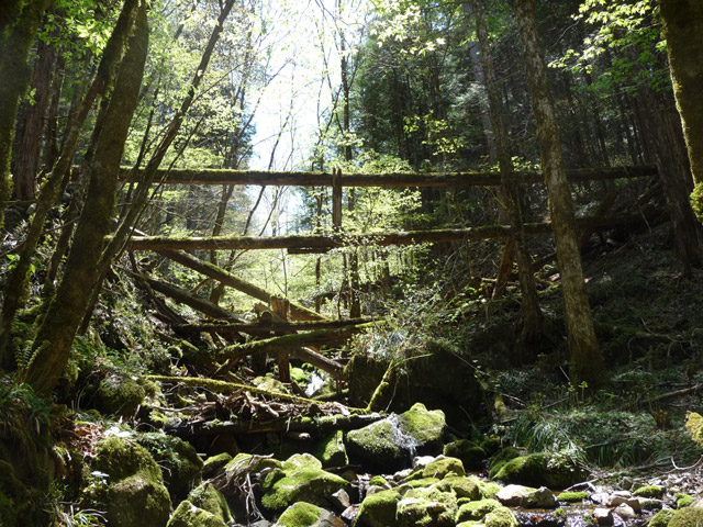 �ؑ]�X�ѓS��,�ѓS,�p����,���ґ��ƋO��,���ː�,���P�h�u��,�O�i�؋�