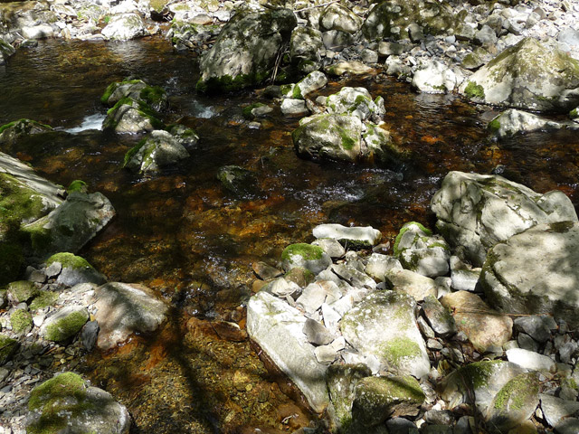 �ؑ]�X�ѓS��,�ѓS,�p����,���ґ��ƋO��,�o��,���P�h�u��,�O�i�؋�