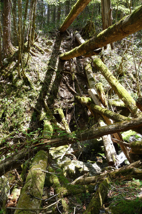 �ؑ]�ѓS,�X�ѓS��,�p����,���ґ��Ɛ�,�c�я��O��,���P�h�u��,�O�i�؋�