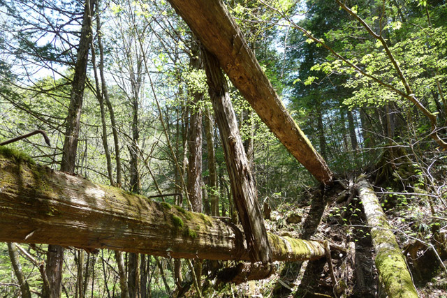 �ؑ]�ѓS,�X�ѓS��,�p����,���ґ��Ɛ�,�؍މ^���O����,���P�h�u��,3�i�؋�