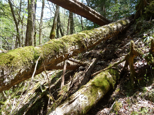 �ؑ]�ѓS,�X�ѓS��,�p����,���ґ��ƋO��,����c�я�,���P�h�u��,3�i�؋�