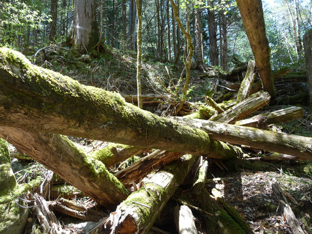 �ؑ]�ѓS,�X�ѓS��,�p����,���ґ��ƋO��,���ꋷ�O,���P�h�u��,3�i�؋�