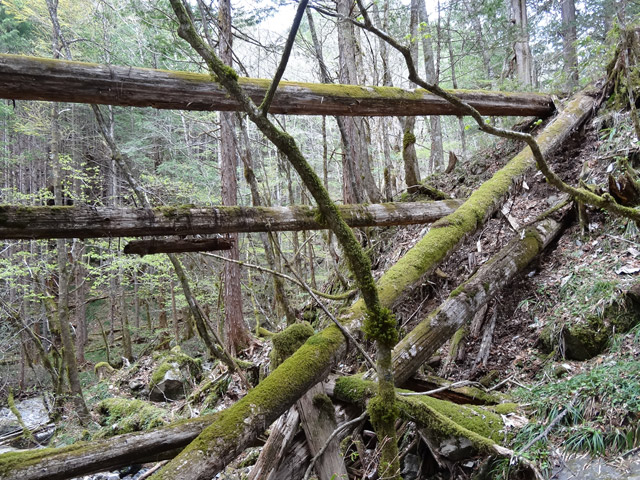 �ؑ]�ѓS,�X�ѓS��,�p����,���ґ��ƋO��,���L��,���P�h�u��,3�i�؋�