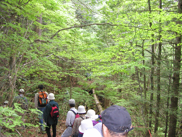 �ؑ]�X�ѓS��,�ѓS,�p����,���ґ��ƋO��,���ː�E�H�[�L���O,���P�h�u��,3�i�؋�