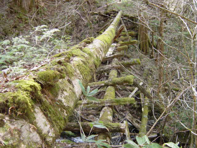 �ؑ]�X�ѓS��,�ѓS,�p����,���ґ��ƋO��,���ꑺ,���P�h�u��,3�i�؋�