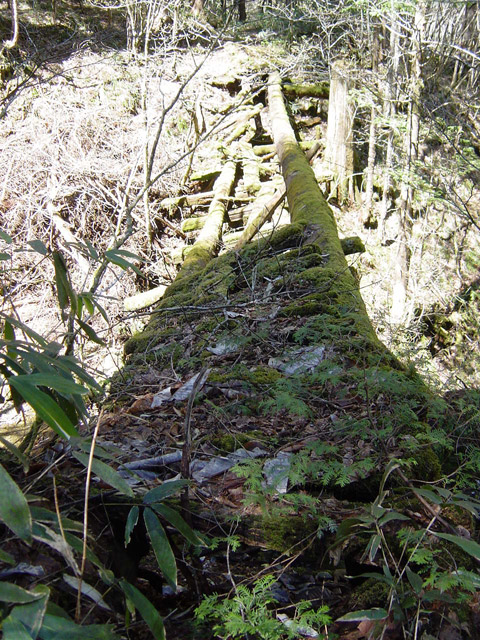 �ؑ]�X�ѓS��,�ѓS,�p����,���ґ��ƋO��,����c�я�,���P�h�u��,3�i�؋�