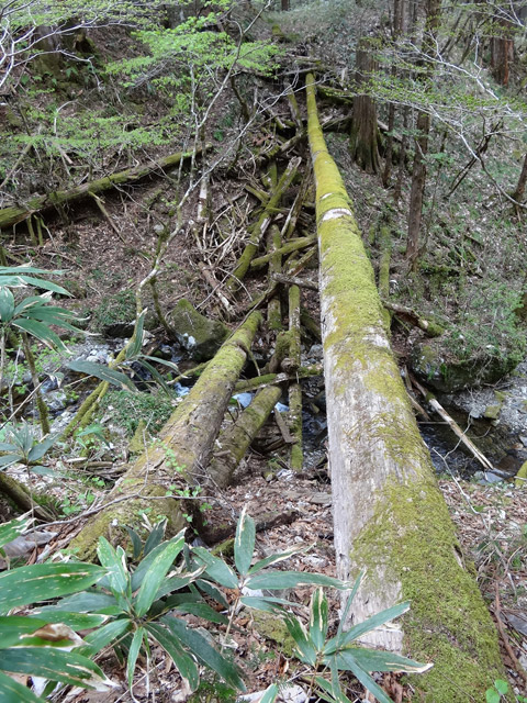 �ؑ]�X�ѓS��,�ѓS,�p����,���ґ��Ɛ�,���L��,���P�h�u��,3�i�؋�