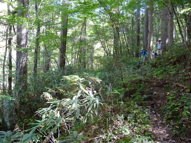 �ؑ]�X�ѓS��,�ѓS,�p����,���ґ��ƋO��,���ː�,��r�ʐ^,�V����