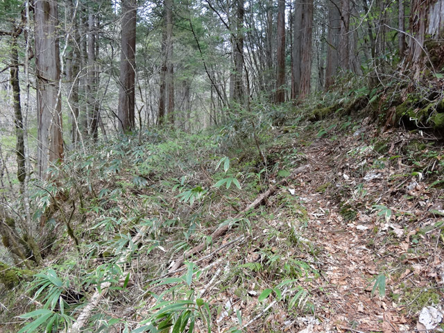 �ؑ]�X�ѓS��,�ѓS,�p����,���ґ��Ɛ�,���ː�,��_�ϑ�,�V����