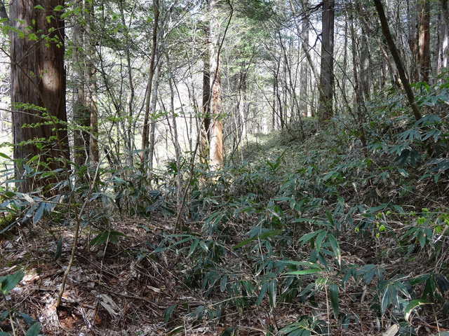 �ؑ]�X�ѓS��,�ѓS,�p����,���ґ��Ɛ�,���ː�,���ꑺ