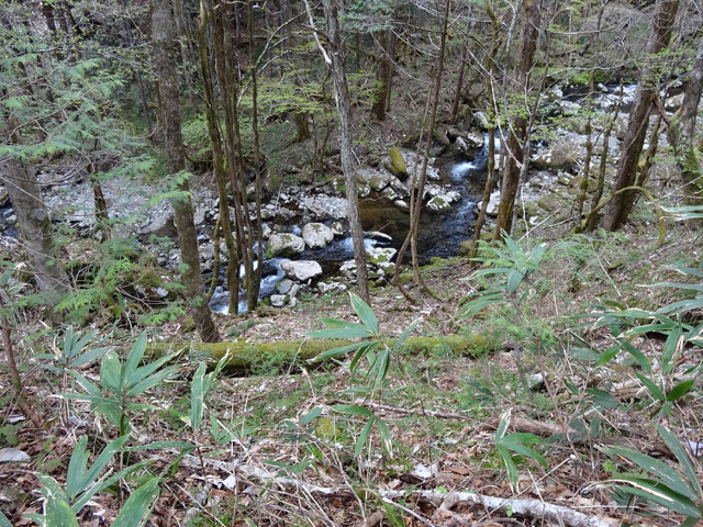 �ؑ]�X�ѓS��,�ѓS,�p����,���ґ��Ɛ�,���ː�,�k��