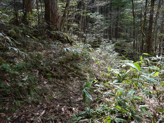 �ؑ]�X�ѓS��,�ѓS,�p����,���ґ��Ɛ�,���ː�,�x��