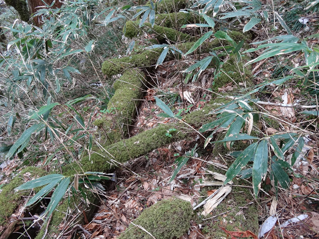 �ؑ]�X�ѓS��,�ѓS,�p����,���ґ��ƋO��,�V��,�؋�