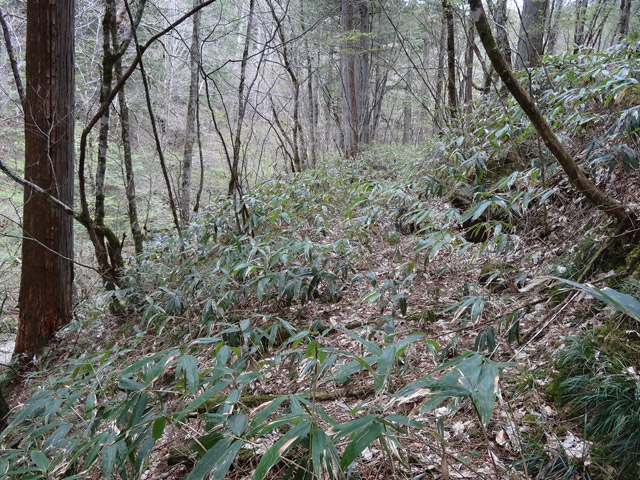 �ؑ]�X�ѓS��,�ѓS,�p����,���ґ��ƋO��,����,���ː�