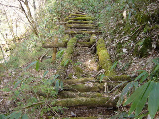 �ؑ]�X�ѓS��,�ѓS,�p����,���ґ��ƋO��,�V��,�؋�,����c�я�