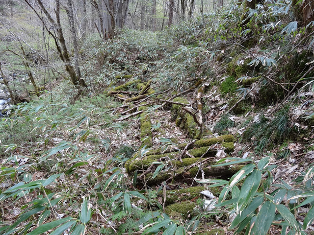 �ؑ]�X�ѓS��,�ѓS,�p����,���ґ��ƋO��,�V��,�؋�,��r�ʐ^