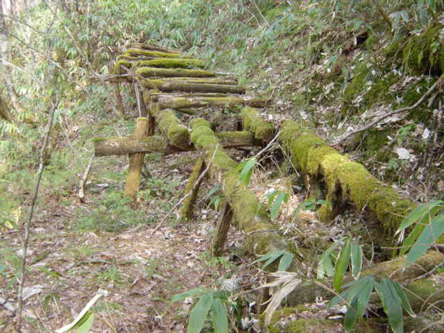 �ؑ]�X�ѓS��,�ѓS,�p����,���ґ��ƋO��,�V��,�؋�,���ꑺ