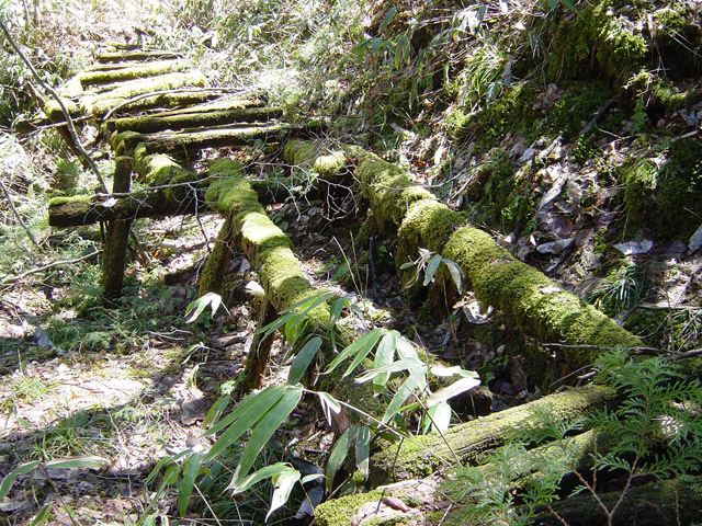 �ؑ]�X�ѓS��,�ѓS,�p����,���ґ��Ɛ�,�V��,�؋�,��_�ϑ�