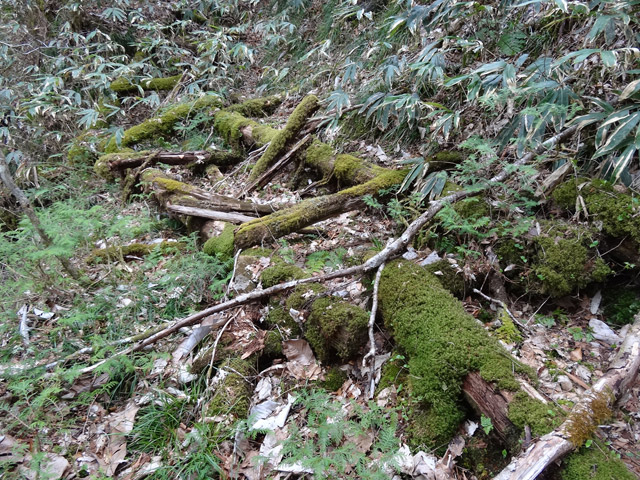 �ؑ]�X�ѓS��,�ѓS,�p����,���ґ��Ɛ�,�V��,�؋�,���̎ʐ^