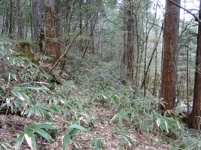 �ؑ]�X�ѓS��,�ѓS,�p����,���ґ��Ɛ�,�V��,�؋�,����