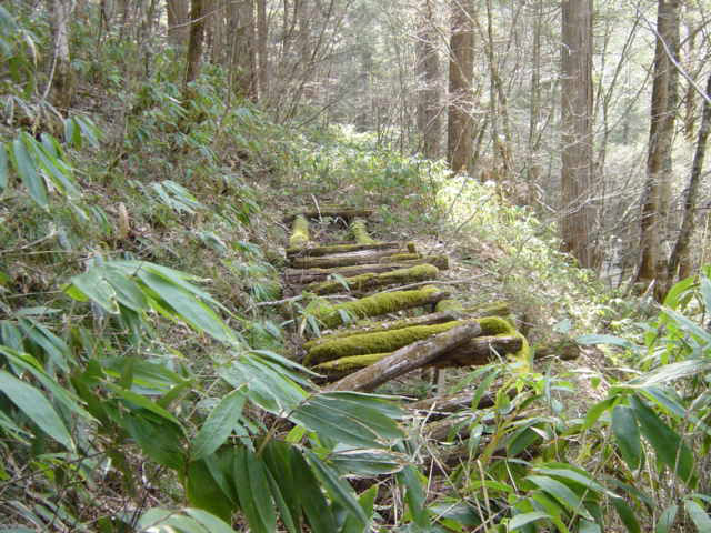 �ؑ]�X�ѓS��,�ѓS,�p����,���ґ��ƋO��,�V��,�؋�,��Ɛ�