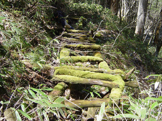 �ؑ]�X�ѓS��,�ѓS,�p����,���ґ��ƋO��,�V��,�؋�,��r�ʐ^