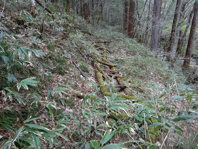 �ؑ]�X�ѓS��,�ѓS,�p����,���ґ��ƋO��,�V��,�؋�,��_�ϑ�