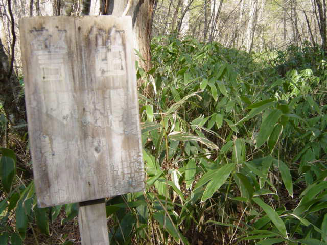 �ؑ]�X�ѓS��,�ѓS,�p����,���ґ��ƋO��,�x�J�点�W��,���ꑺ