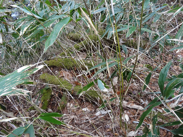 �ؑ]�X�ѓS��,�ѓS,�p����,���ґ��Ɛ�,�V��,����