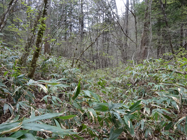 �ؑ]�X�ѓS��,�ѓS,�p����,���ґ��Ɛ�,�c�я��O��,���ꑺ