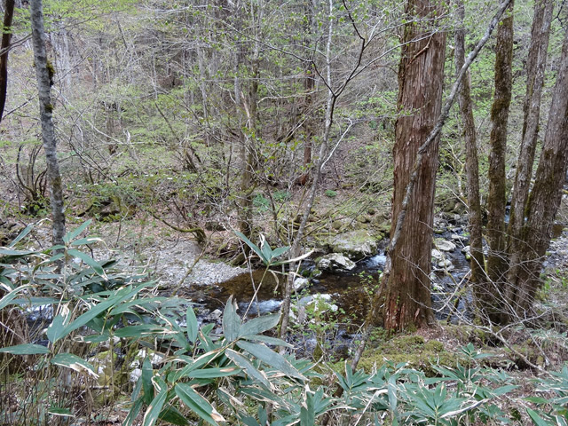 �ؑ]�X�ѓS��,�ѓS,�p����,���ґ��Ɛ�,�c�я��O��,�k��