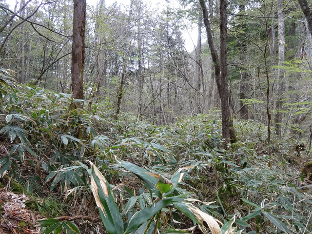 �ؑ]�X�ѓS��,�ѓS,�p����,���ґ��Ɛ�,�c�я��O��,����c�ы�