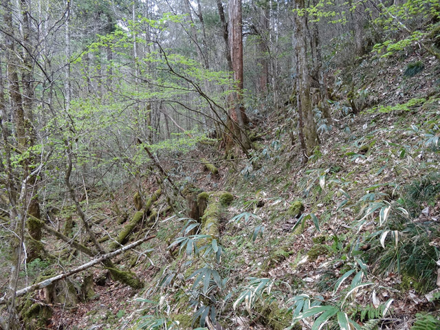 �ؑ]�X�ѓS��,�ѓS,�p����,���ґ��ƋO��,�V��,�؋�