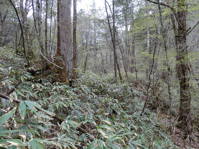 �ؑ]�X�ѓS��,�ѓS,�p����,���ґ��ƋO��,���M,���ꑺ