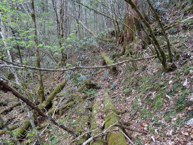 �ؑ]�X�ѓS��,�ѓS,�p����,���ґ��ƋO��,�V��,���ꑺ