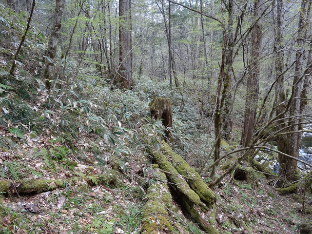 �ؑ]�X�ѓS��,�ѓS,�p����,���ґ��ƋO��,�V��,����c�я�