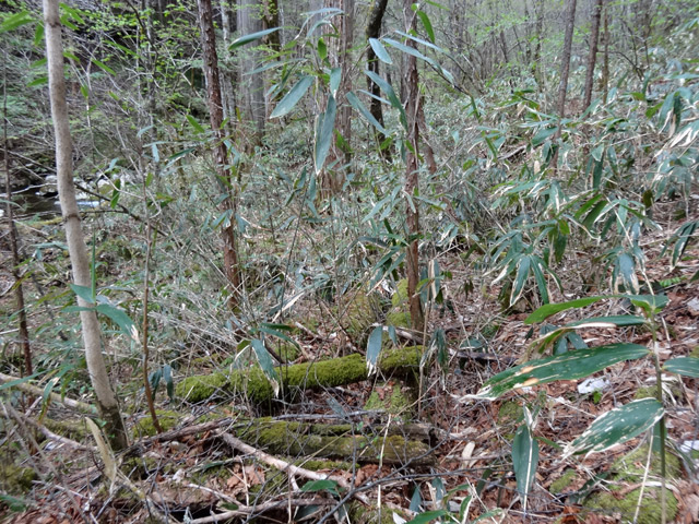 �ؑ]�X�ѓS��,�ѓS,�p����,���ґ��Ɛ�,�V��,�c�я��O��,����