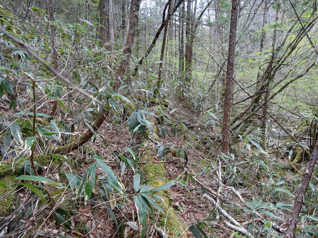 �ؑ]�X�ѓS��,�ѓS,�p����,���ґ��Ɛ�,�O����,�V��,�包