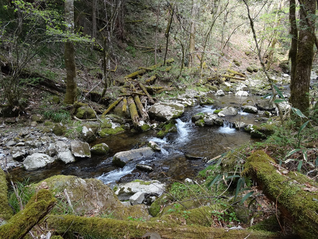 �ؑ]�X�ѓS��,�ѓS,�p����,���ґ��Ɛ�,�O����,��3������,�؋�